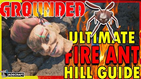 grounded fire ant hill